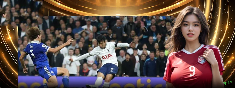 Guias de instalação da pp12